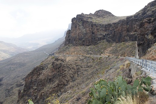 Canarie 2014